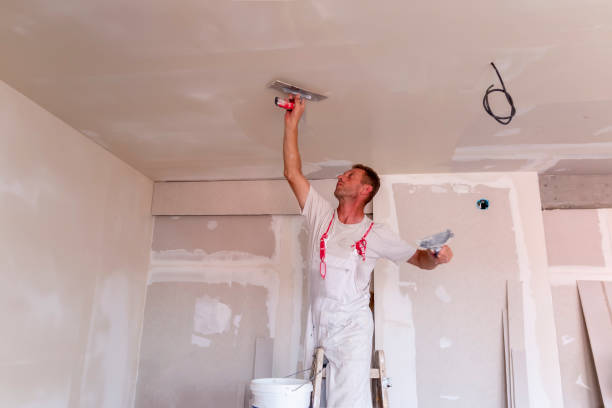 Professional Painting in Stock Island, FL